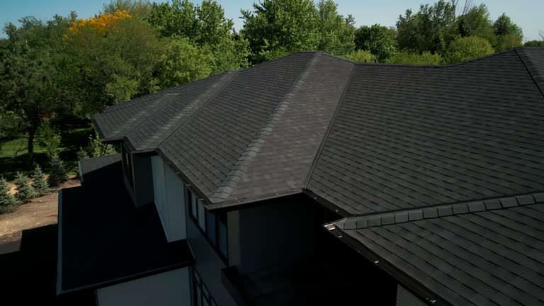 Best Roof Moss and Algae Removal  in Page, AZ