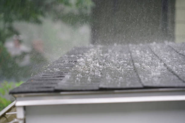 Best Flat Roofing  in Page, AZ