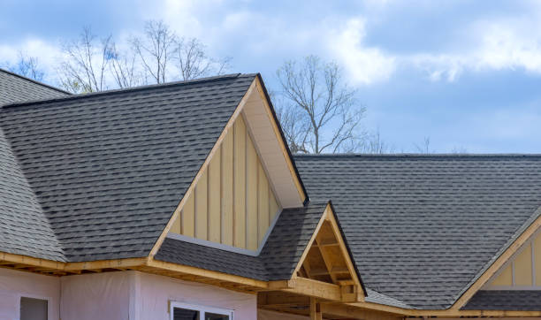 Best Asphalt Shingles Roofing  in Page, AZ